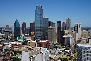 View of Dallas from Reunion Tower August 2015 05