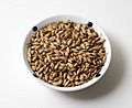 Barley grains 4