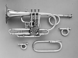 Cornet (Trumpet) in B-flat MET 270292