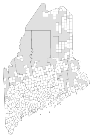 Maine Municipalities.png