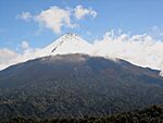 Snow-covered volcanic peak above green forests