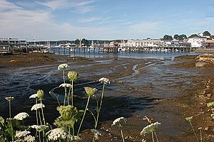 Boothbay Harbor, summer morning at low tide