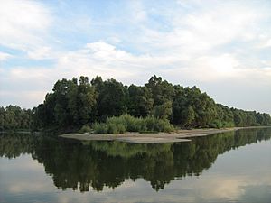 Gornje Podunavlje