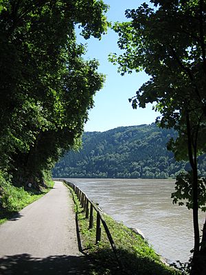 Donauradweg Schloegener Schlinge - Aschach