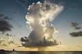 Cumulonimbus calvus cloud over the Gulf of Mexico in Galveston, Texas