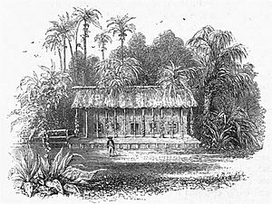 Stephenson's cottage at Santa Anna