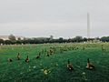 National Mall in DC