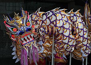 Singapore Dragon-used-for-traditional-dragondance-01