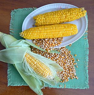Corn-raw-boiled-and-dry