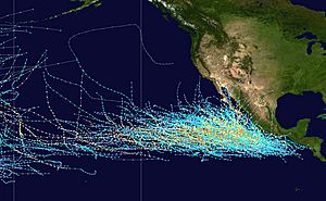 Pacific hurricane tracks 1980-2005