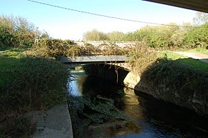 Ponte de Boado sobre o río Limia, nun tramo vello da estrada N-525