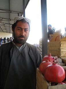 Afghan pomegranate Kandahar