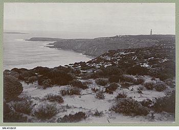 Cape Du Couedic and the two Casuarina Islands, circa 1912 SRG-67-20-21.jpeg