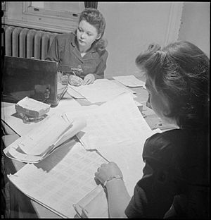 Wartime Social Survey- Information Gathering in Wartime Britain, UK, 1944 D18858