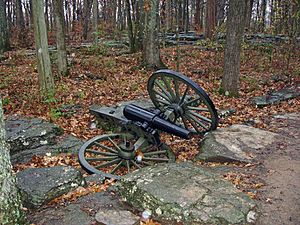 12-pounder Napoleon cannon at Stones River National Battlefield