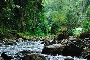 El Río Tanamá en Utuado, Puerto Rico