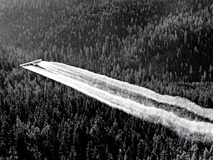 1955. Fort tri-motor spraying DDT. Western spruce budworm control project. Powder River control unit, OR. (32213742634)