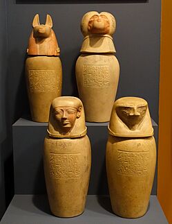 Canopic jars (casts), Egypt, 945-712 BC - National Museum of Natural History, United States - DSC00557
