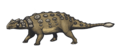 Ankylosaurus magniventris reconstruction