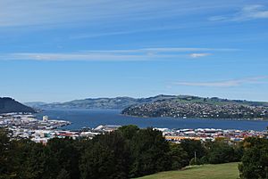 Dunedin from Lookout