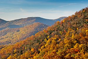 Fall colors from the Blue Ridge Parkway just south of Ashville