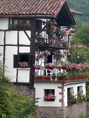 Casas típicas de Elizondo