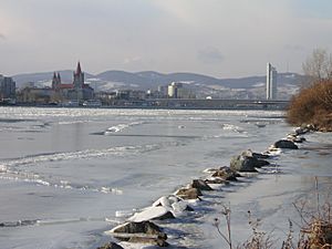Frozen Danube Reichsbrücke