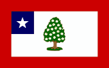Flag of Mississippi (1861-1865)
