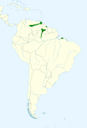 Picumnus spilogaster map.svg