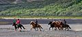 10 Iceland tourism - Icelandic horses ride in Iceland, horseback riding tourists