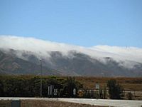 Fog San Bruno Mountain