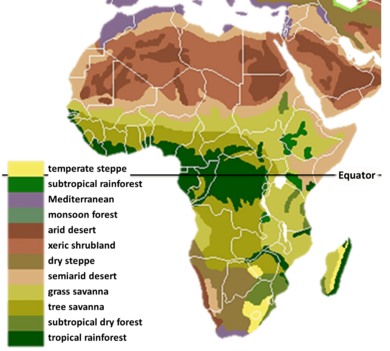 Vegetation Africa