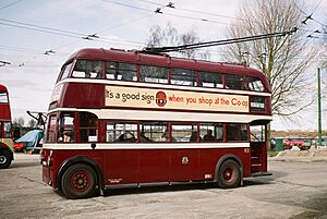 The Trolleybus Museum at Sandtoft - Reading trolleybus 113, near Sandtoft, Lincs - geograph.org.uk - 3666887
