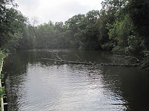 Brent Park pond