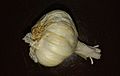 A garlic clove and its head
