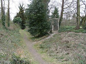 Footpath in the iron age fort ditch, Wandlebury Ring - geograph.org.uk - 718463