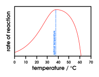 Effect of temperature on enzymes