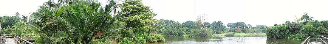 Singapore Botanic Gardens, Eco-lake, panorama, Sep 06