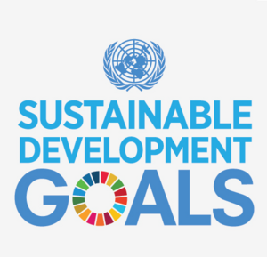 UN SDG Logo