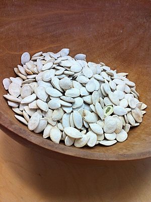 Salted pumpkin seeds