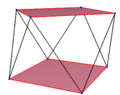 Skew polygon in square antiprism