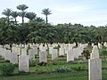 Fayed War Cemetery Pows