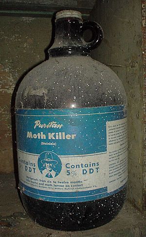 DDT jug