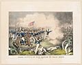 Genl. Taylor at the battle of Palo Alto- May 8th 1846 LCCN2001700089