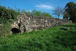 Roman wall in Caerleon - geograph.org.uk - 1252561.jpg