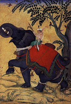 Kaiser Akbar bändigt einen Elefanten