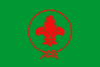 Flag of Vietnamese Scout Association.svg
