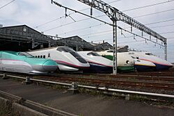 JR East Shinkansen lineup at Niigata Depot 200910.jpg