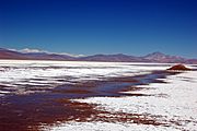 Salar Maricunga Atacama