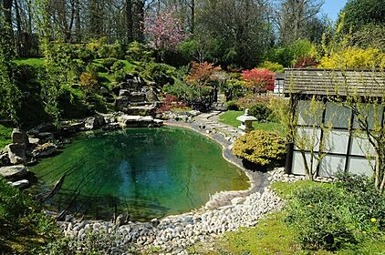 The Japanese Garden, Kingston Lacy - geograph.org.uk - 3945241